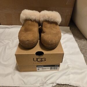 Ugg Clogs